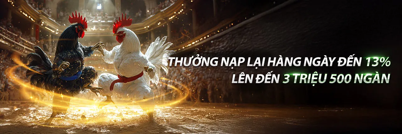 Đá Gà C2 Trực Tiếp Kịch Tính